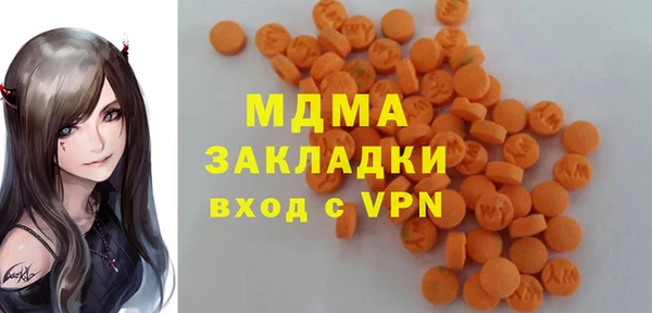 индика Арсеньев