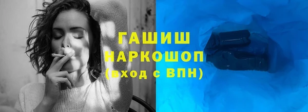 индика Арсеньев