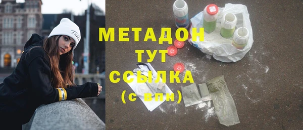 индика Арсеньев