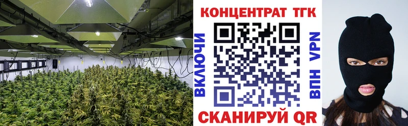 Дистиллят ТГК THC oil  kraken как войти  Нязепетровск 