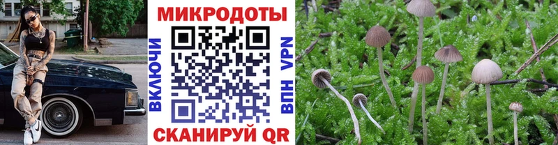 цены наркотик  Нязепетровск  Псилоцибиновые грибы мицелий 